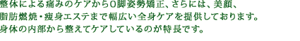 整体による痛みのケアからO脚姿勢矯正、さらには、美顔、脂肪燃焼・痩身エステまで幅広い全身ケアを提供しております。身体の内部から整えてケアしているのが特長です。