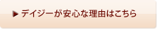 デイジー整体院が安心な理由へはこちら