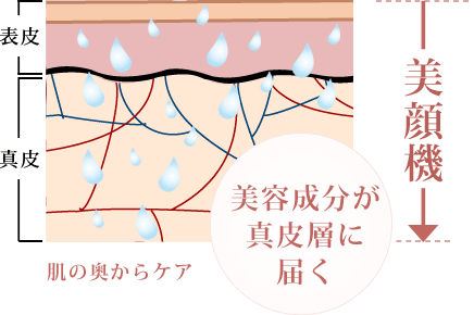 美容成分が真皮層に届く。肌の奥からケア。