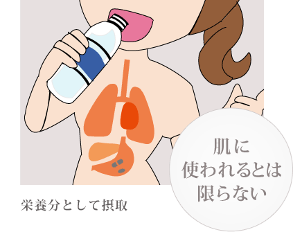 栄養分として摂取。肌に使われるとは限らない。