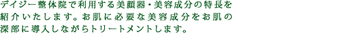 デイジー整体院で利用する美顔器・美容成分の特長を紹介いたします。お肌に必要な美容成分をお肌の深部に導入しながらトリートメントします。