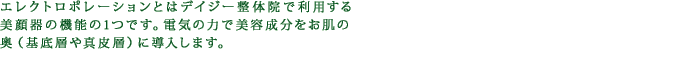 エレクトロポレーションとはデイジー整体院で利用する美顔器の機能の1つです。電気の力で美容成分をお肌の奥（基底層や真皮層）に導入します。