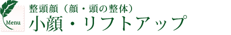 整頭顔（顔・頭の整体）。小顔・リフトアップ