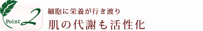 ポイント2。細胞に栄養が行き渡り肌の代謝も活性化