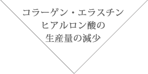 コラーゲン・エラスチン・ヒアルロン酸の生産量の減少