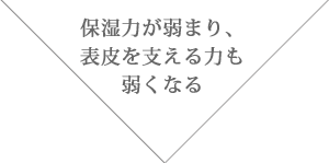 保湿力が弱まり、表皮を支える力も弱くなる