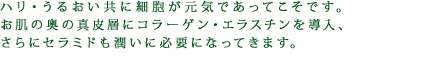 ハリ・うるおい共に細胞が元気であってこそです。お肌の奥の真皮層にコラーゲン・エラスチンを導入、さらにセラミドも潤いに必要になってきます。