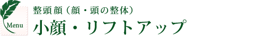 整頭顔（顔・頭の整体）。小顔・リフトアップ